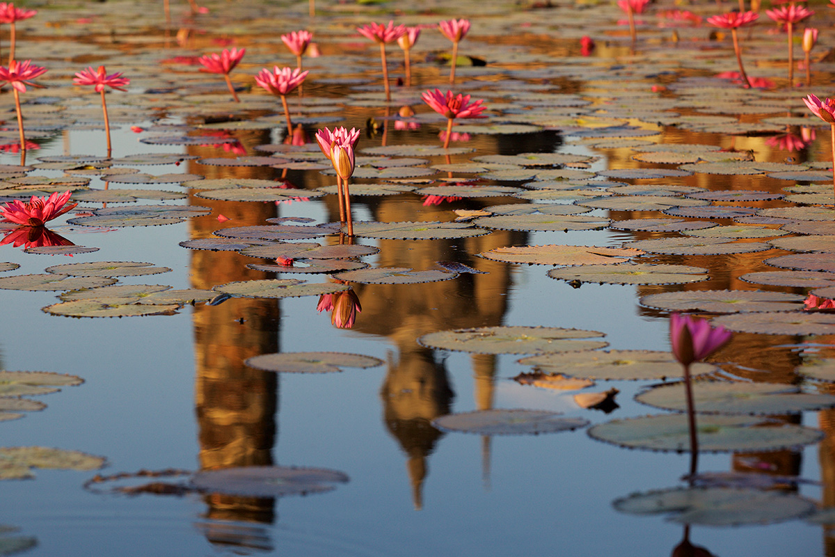 Wat Mahathat, Sukhothai, Buddha reflection Thailand