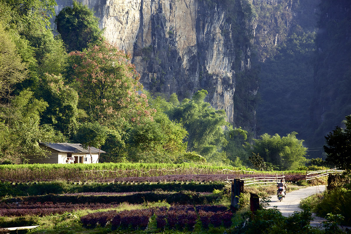 Small farmstead in China Limestone karsts and agriculture at yangshuo in china