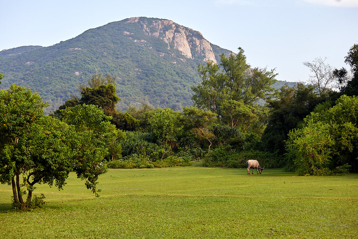 The Pui O wetlands Lantau island, Hong Kong